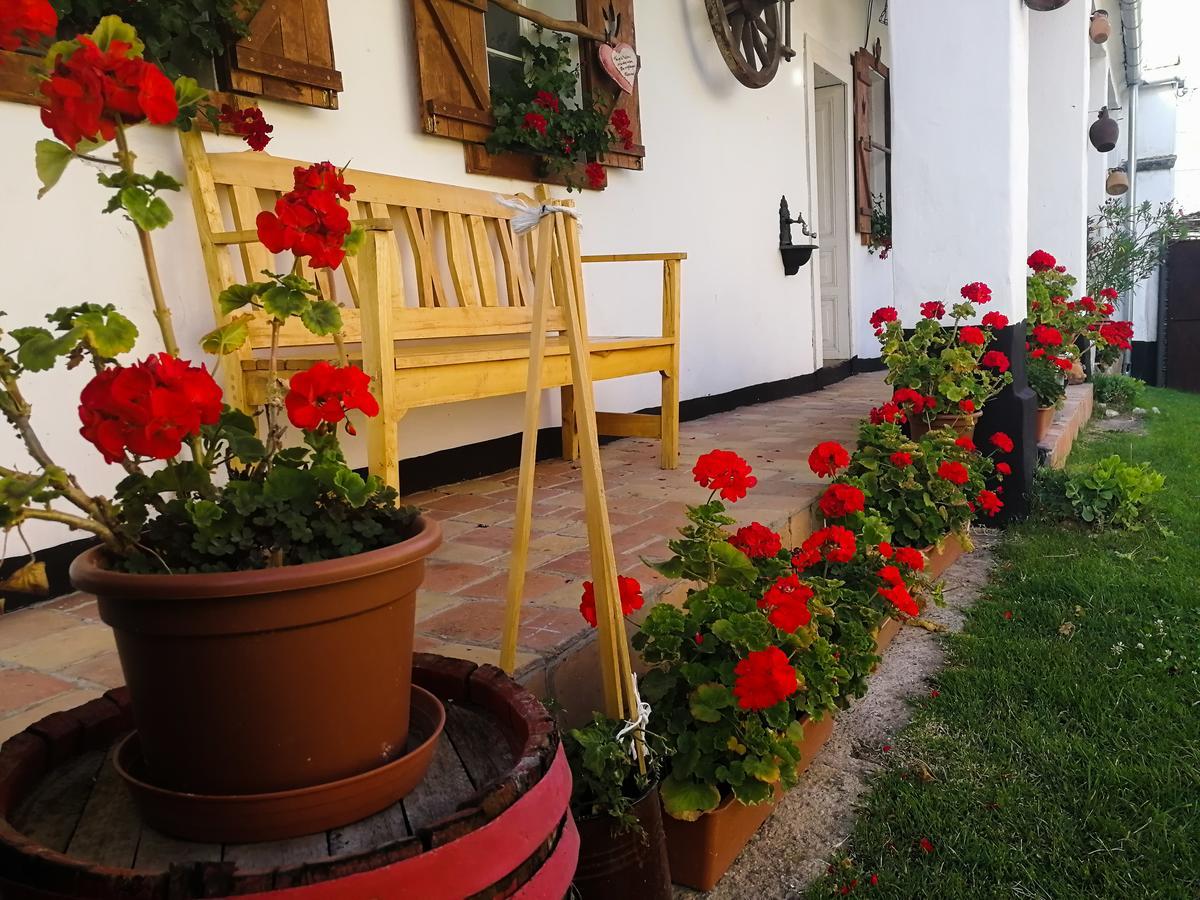 Bakonyi Kis-Lak Villa Bakonykoppány Dış mekan fotoğraf