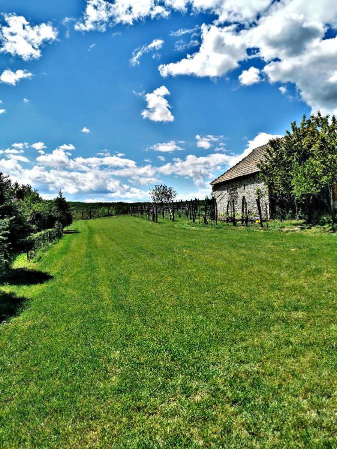 Bakonyi Kis-Lak Villa Bakonykoppány Dış mekan fotoğraf