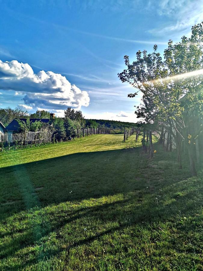 Bakonyi Kis-Lak Villa Bakonykoppány Dış mekan fotoğraf