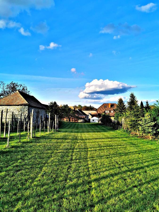 Bakonyi Kis-Lak Villa Bakonykoppány Dış mekan fotoğraf