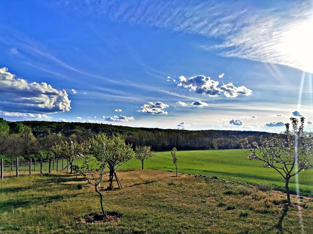 Bakonyi Kis-Lak Villa Bakonykoppány Dış mekan fotoğraf